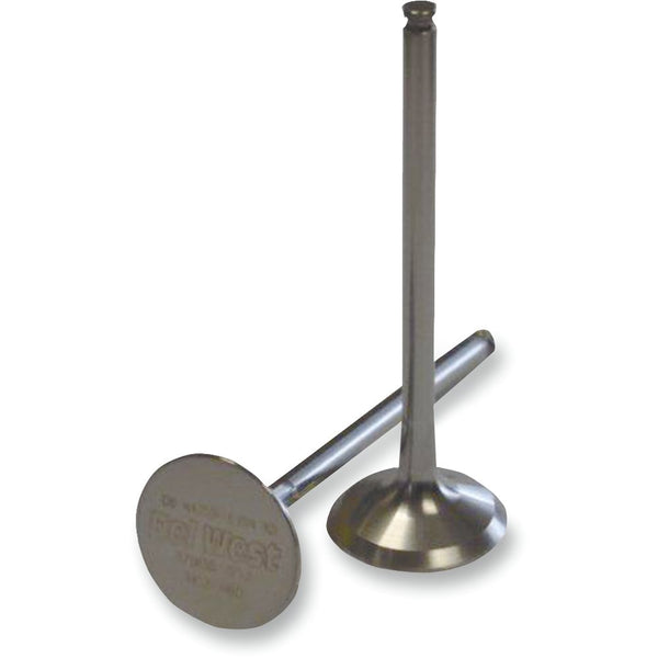 Del West Intake Valve - No Dish - Honda CRF450R '09-'16 DW450RIV09ND