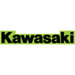 D'Cor Visuals Kawasaki Decal - 12" 40-20-112