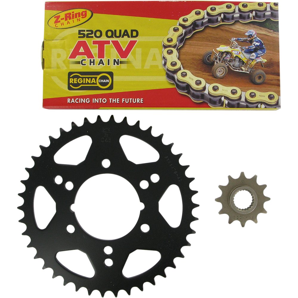 REGINA Chain and Sprocket Kit - Polaris - Trail Boss 250 - '95-'99/Trail Blazer 250 - '96-'99 135QUAD/088KPO001