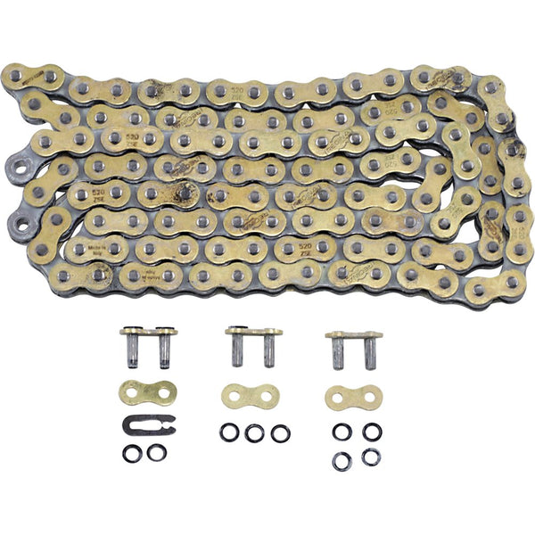REGINA 520 ZSE - Drive Chain - 118 Links 135ZSE/1003