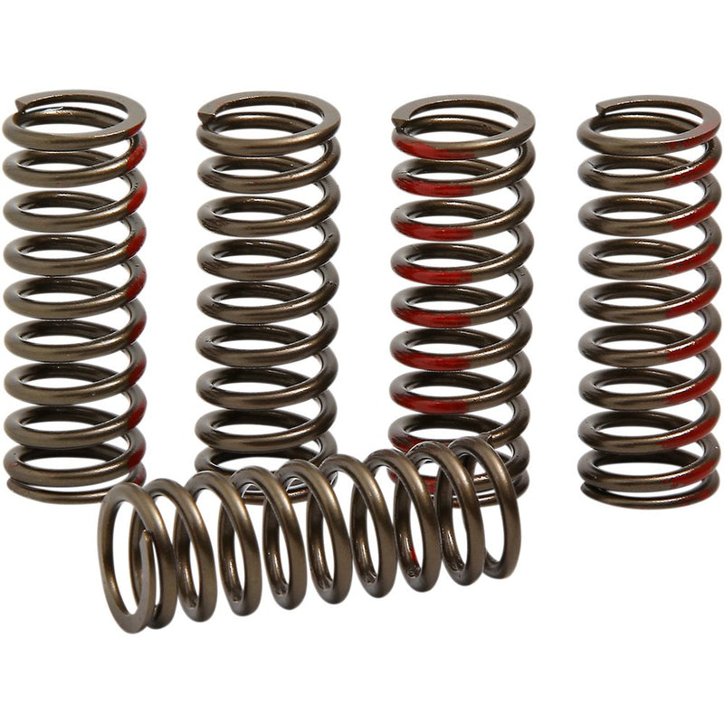 Pro Circuit Clutch Springs - CRF 250R CSH18250-CS