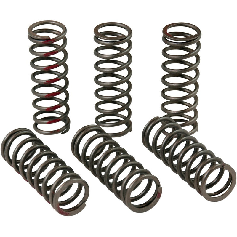 Pro Circuit Clutch Springs - CRF 450R CSH13450-CS