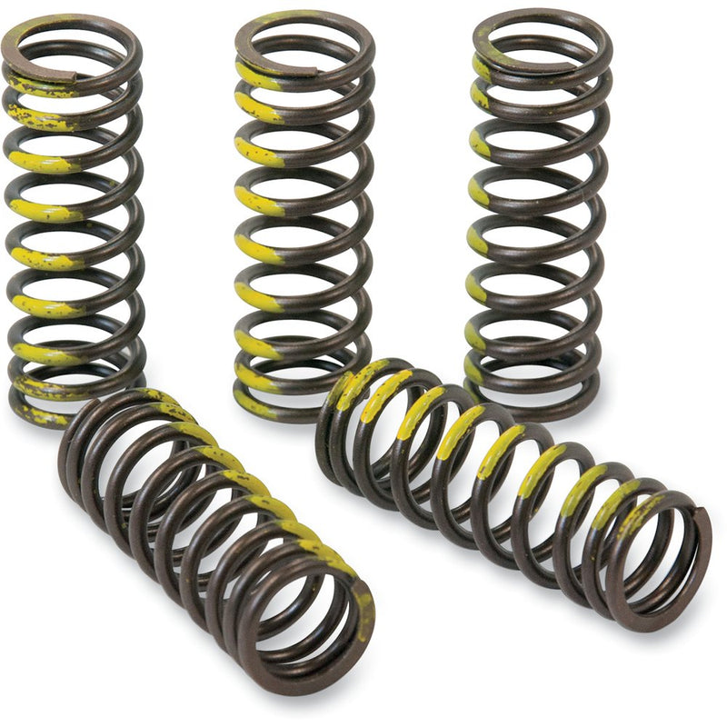 Pro Circuit Clutch Springs - RM 85 CSS12085