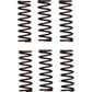 PRO CIRCUIT Clutch Springs - CRF 450R CSH21450-CS