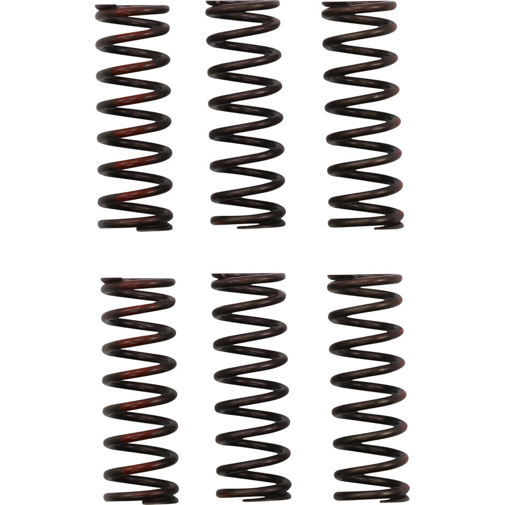 PRO CIRCUIT Clutch Springs - CRF 450R CSH21450-CS