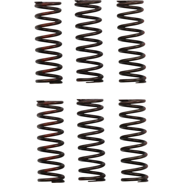 Pro Circuit Clutch Springs - CRF 450R CSH21450-CS