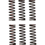 Pro Circuit Clutch Springs - CRF 450R CSH21450-CS
