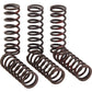 PRO CIRCUIT Clutch Springs - CRF 450R CSH21450-CS