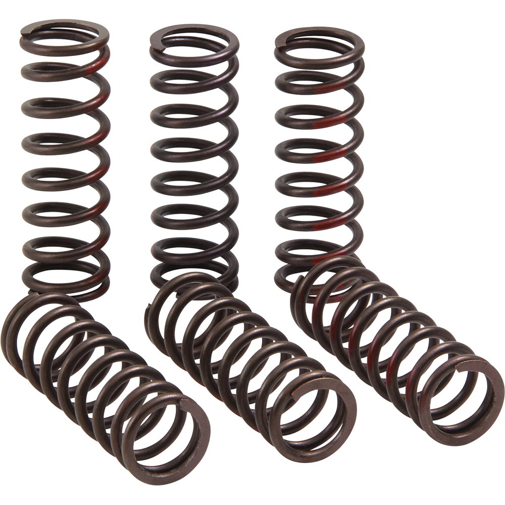 PRO CIRCUIT Clutch Springs - CRF 450R CSH21450-CS