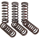 Pro Circuit Clutch Springs - CRF 450R CSH21450-CS