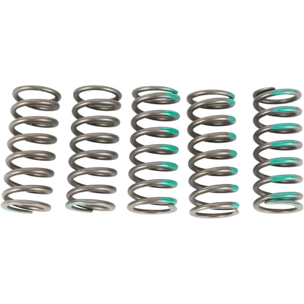 Pro Circuit Clutch Springs - KX 450F CSK19450-CS