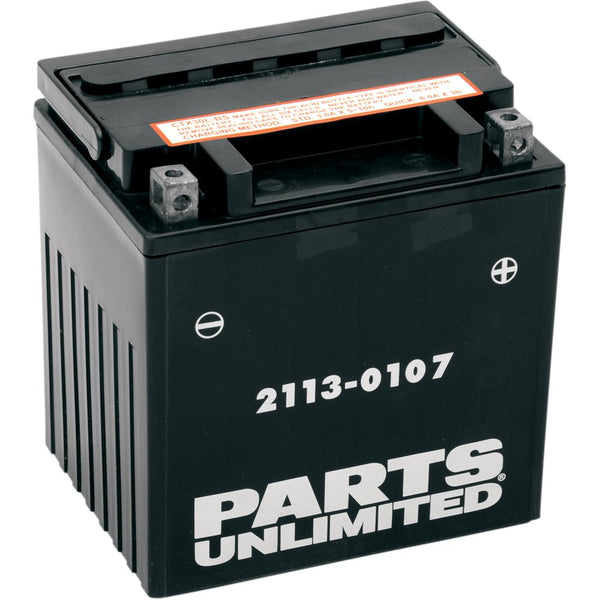 Parts Unlimited AGM Battery - YIX30L-BS CTX30L-BS