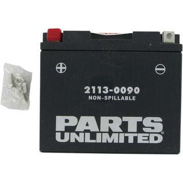 PARTS UNLIMITED AGM Battery - YT12B4/YT12B-BS CT12B4