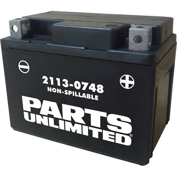 PARTS UNLIMITED AGM Battery - YTX4L CTX4L