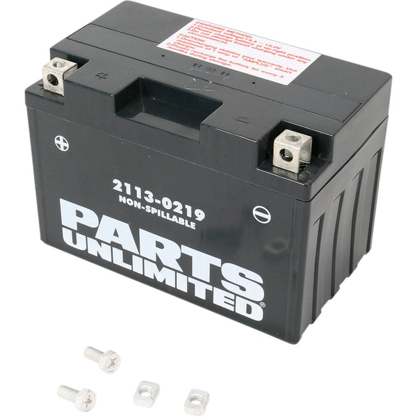 Parts Unlimited AGM Battery - YT12A-BS CT12A-BS