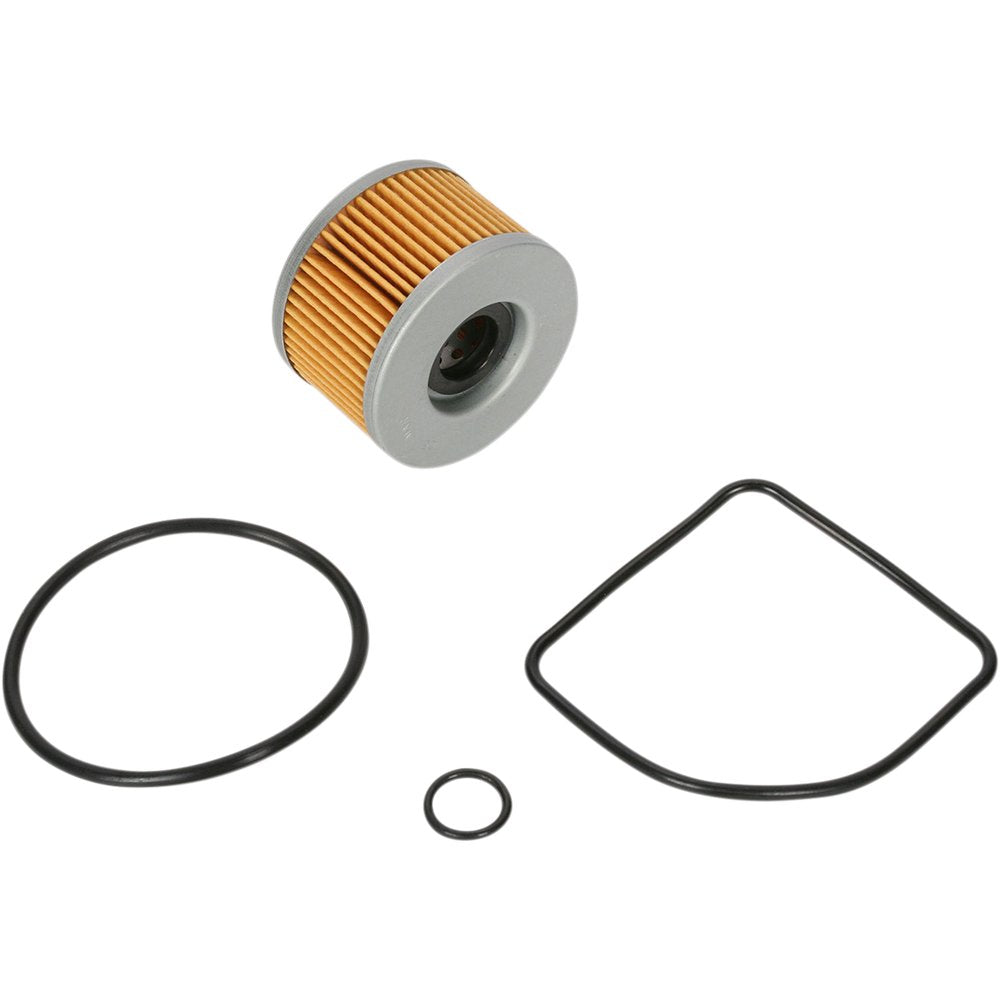 PARTS UNLIMITED Oil Filter 15412-413-005