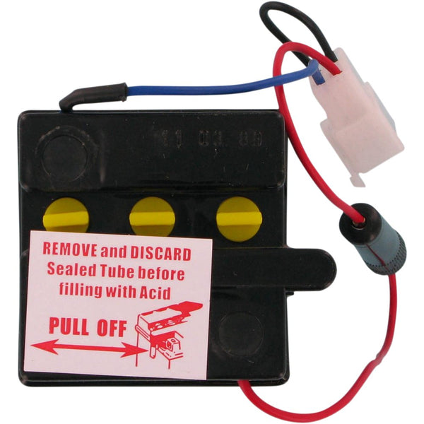 Parts Unlimited Conventional Battery 6N4C1B