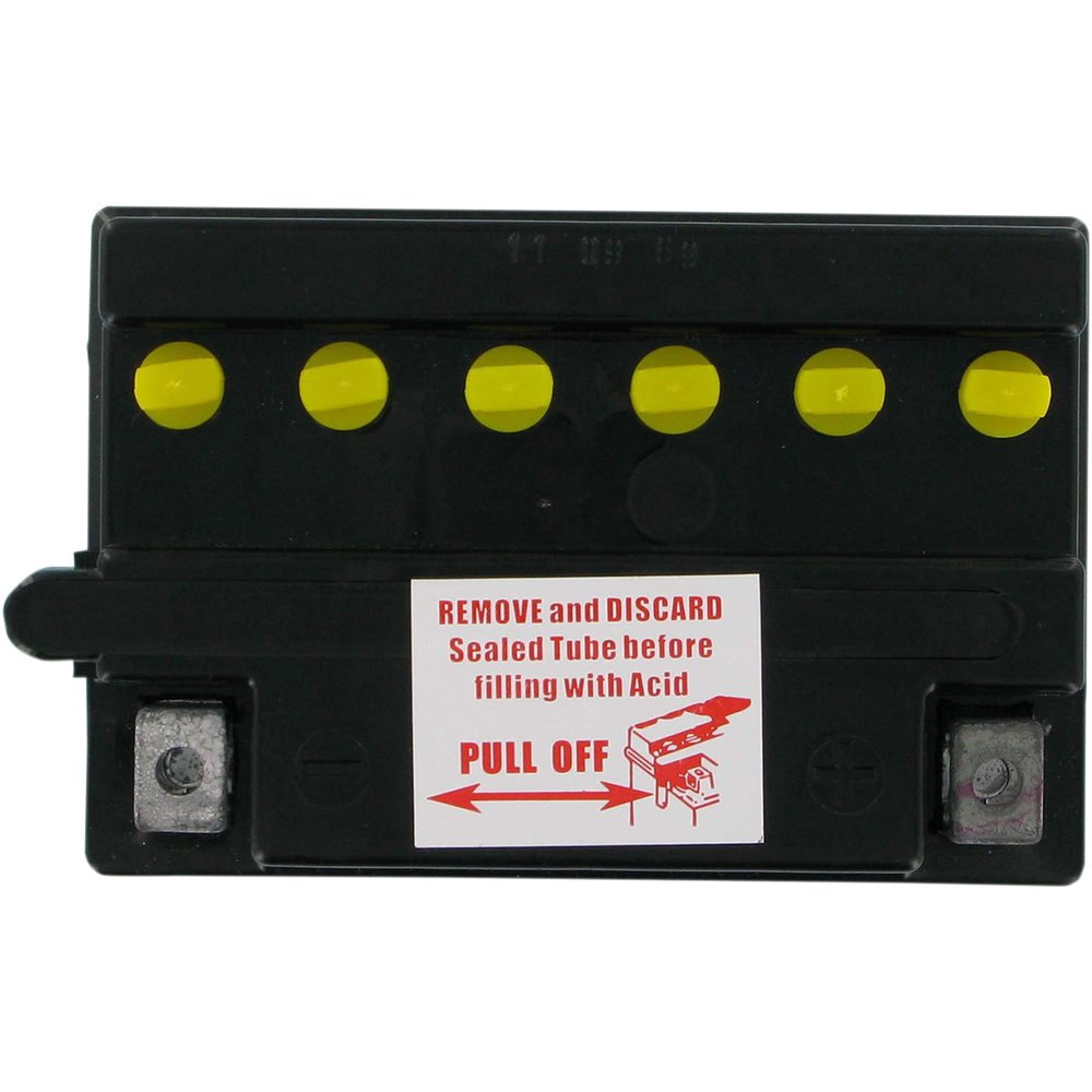 PARTS UNLIMITED Conventional Battery 12N113A1