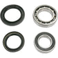 Pivot Works Wheel Bearing Kit - Rear - Kodiak 400/450/Wolverine 450 PWRWK-Y21-040