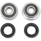 Pivot Works Wheel Bearing Kit - Rear - Honda XR/XL PWRWK-H20-006