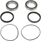 Pivot Works Wheel Bearing Kit - Rear - Adly Moto/Honda PWRWK-H10-420