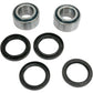 Pivot Works Wheel Bearing Kit - Rear - Arctic Cat PWFWK-A01-542