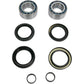 Pivot Works Wheel Bearing Kit - Front - Honda TRX PWFWK-H14-040