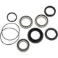 Pivot Works Wheel Bearing Kit - Rear - TRX 300/300FW PWRWK-H29-003