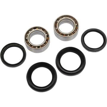 Pivot Works Wheel Bearing Kit - Front - TRX300FW PWFWK-H20-003