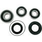 Pivot Works Wheel Bearing Kit - Rear - '96-'22 Honda PWRWS-H09-000