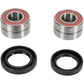Pivot Works Wheel Bearing Kit - Front - '01-'17 Gold Wing 1800 PWFWS-H10-000
