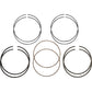 Hastings Piston Rings - 107" Motor - 3.937" +.005" - M8 2C523113