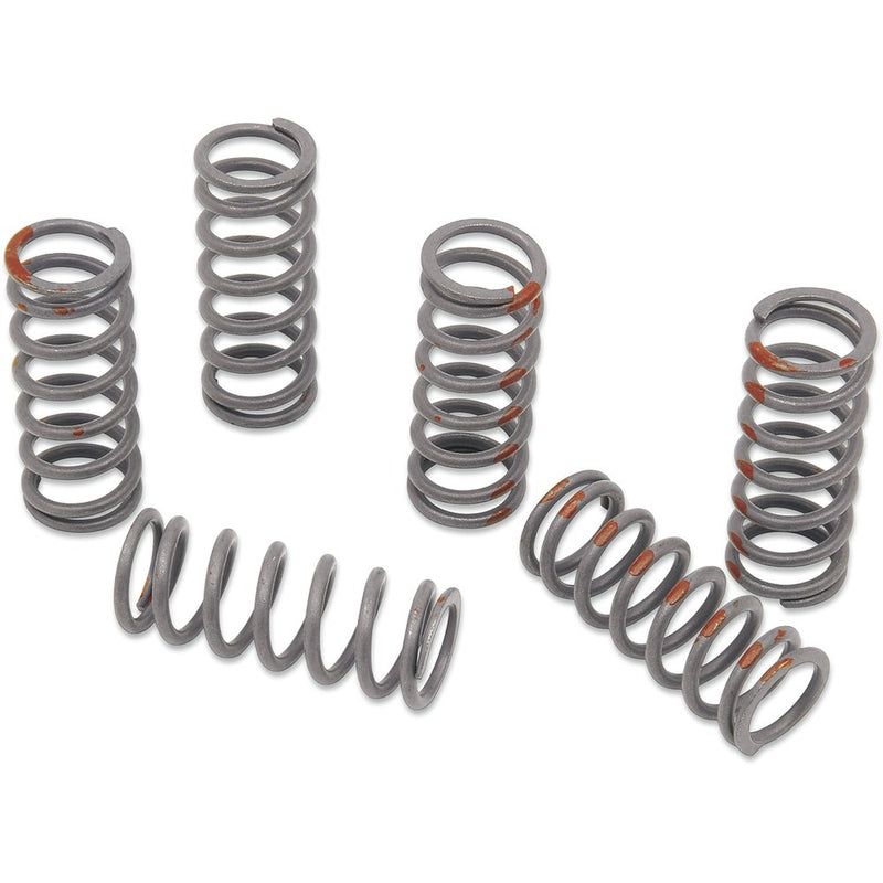 KG POWERSPORTS Clutch Spring Set KGS-805