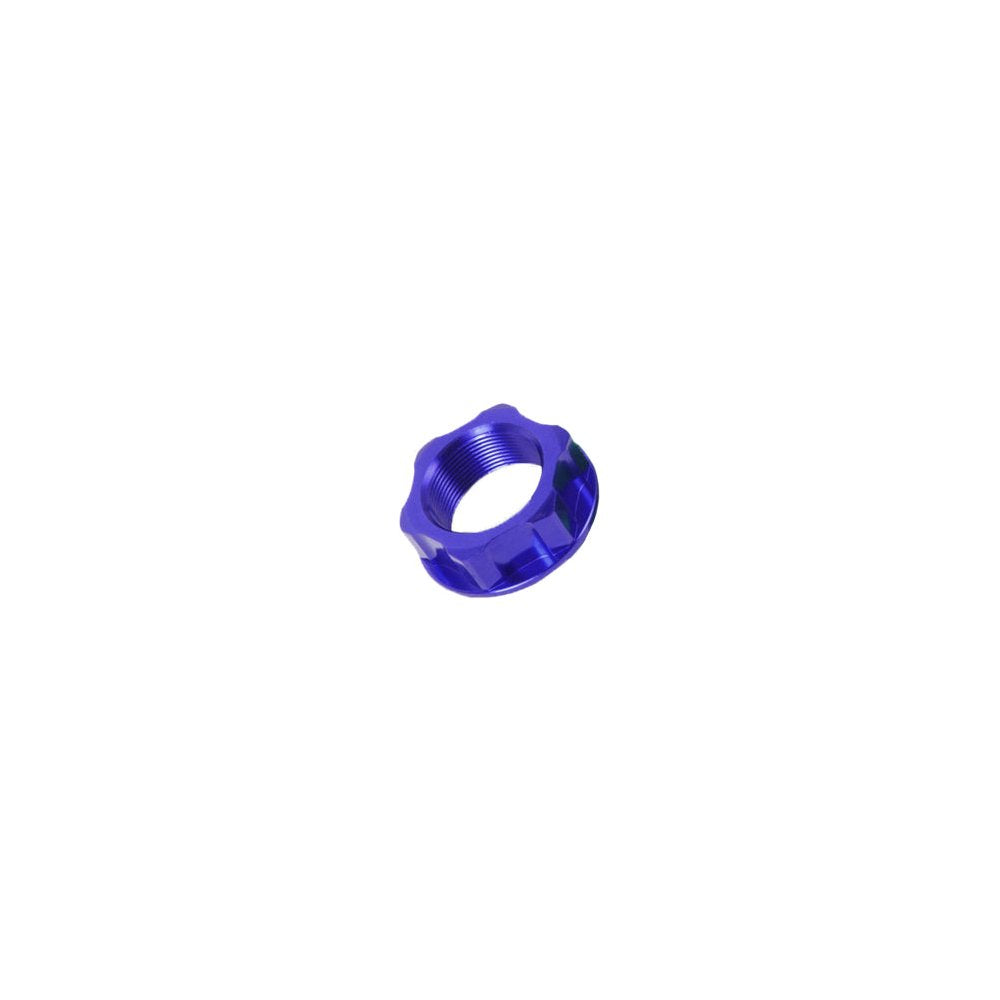 Steering Stem Nut & Bolt Blue M22x27 P1.0 H12