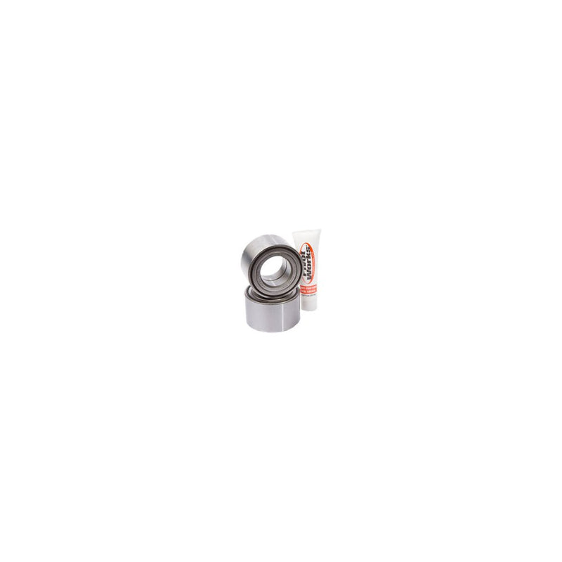 Rear Wheel Bearing Kit