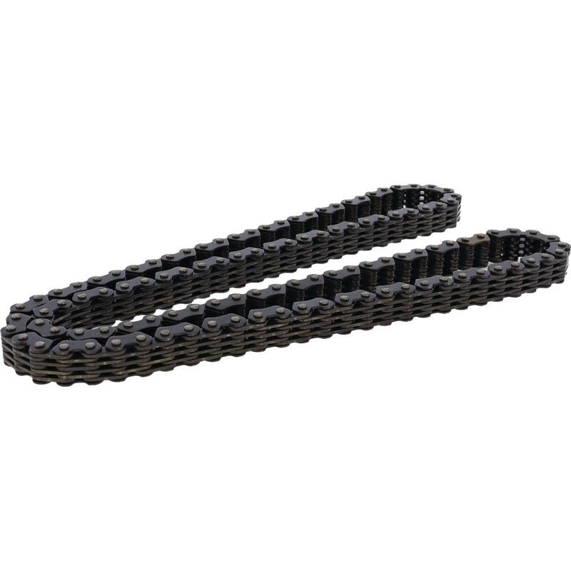 Cam Chain