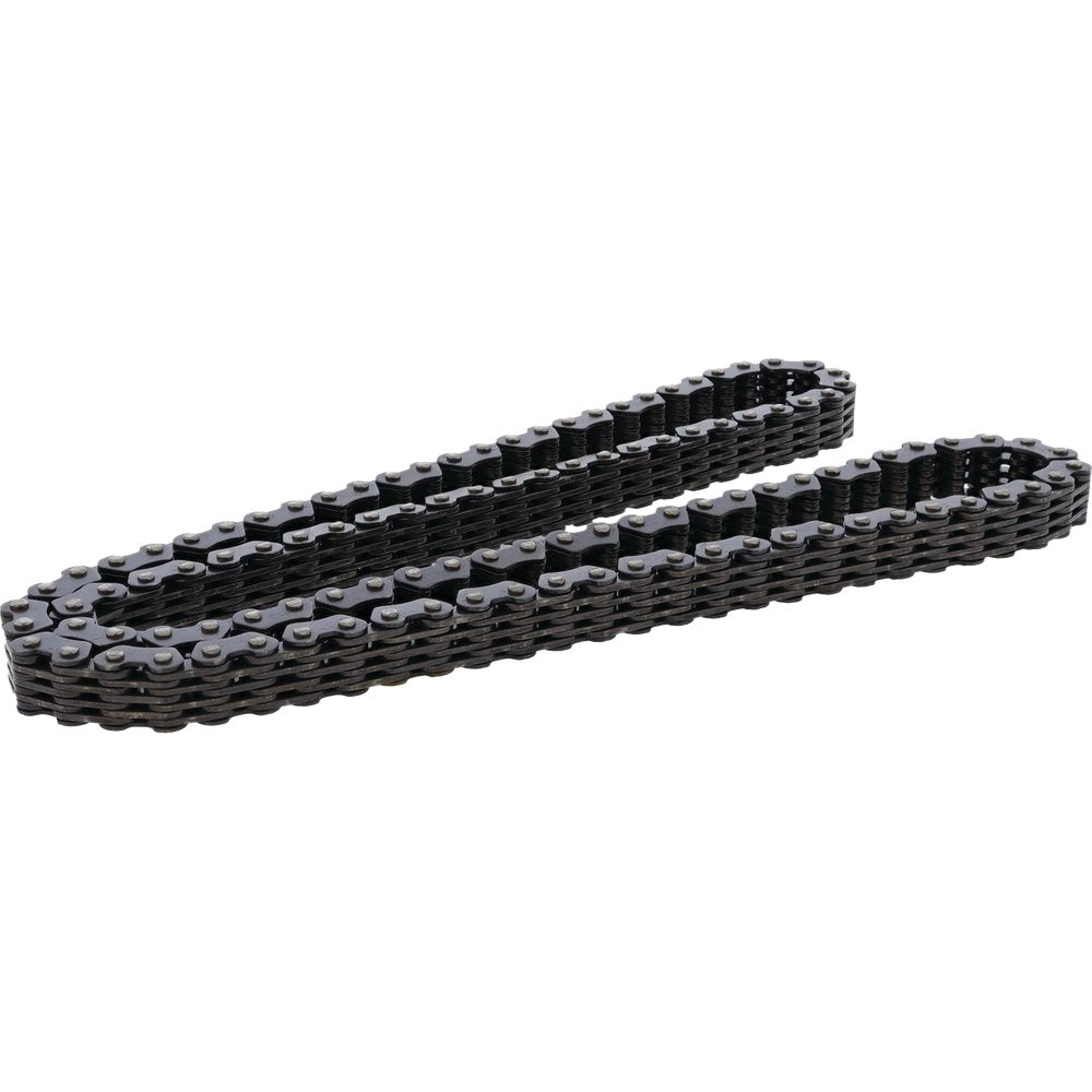 Cam Chain