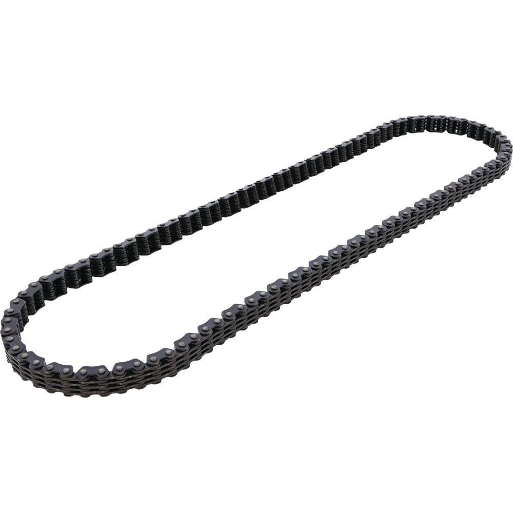 Cam Chain