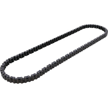 Cam Chain