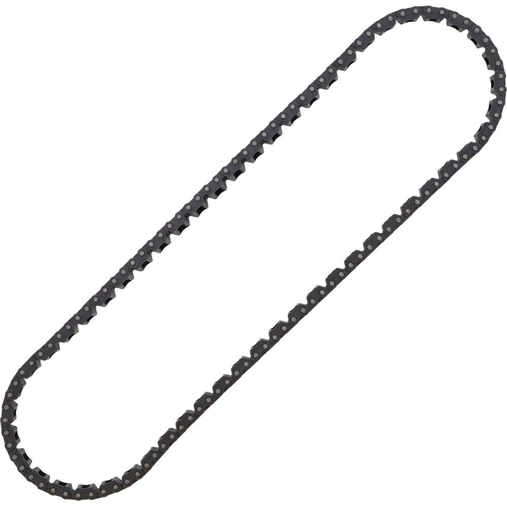 Cam Chain