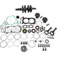 VERTEX Engine Rebuild Kit - Polaris WR00053-1