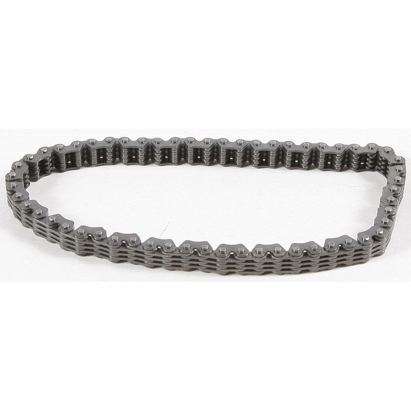 Cam Chain