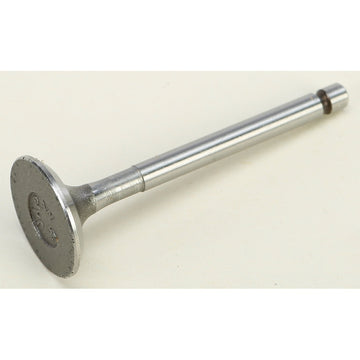 Exhaust Valve