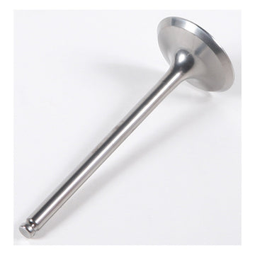 Exhaust Valve