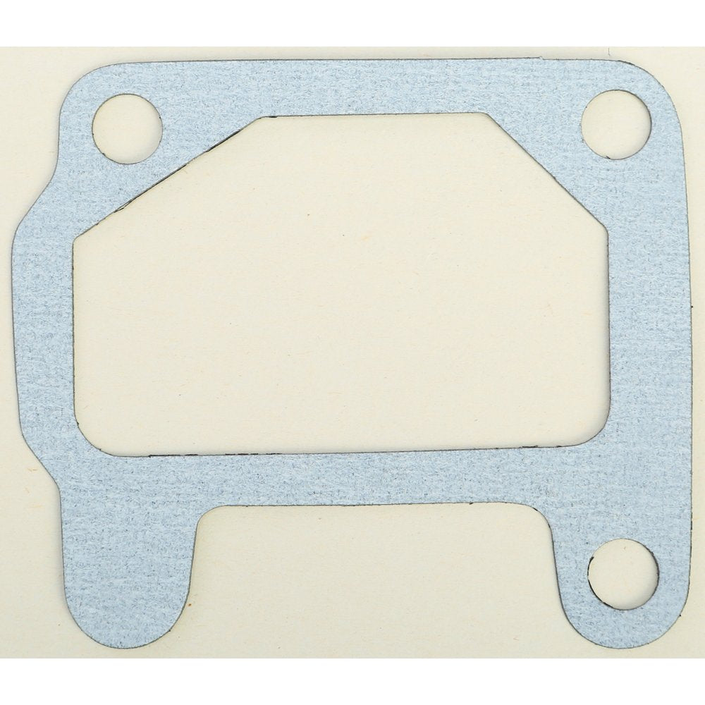 Intake Gasket