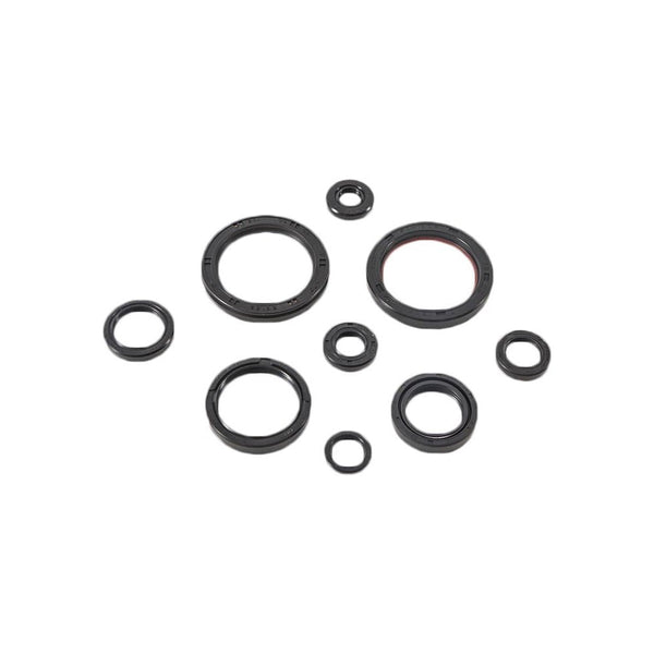 Oil Seal Set