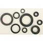 Oil Seal Set