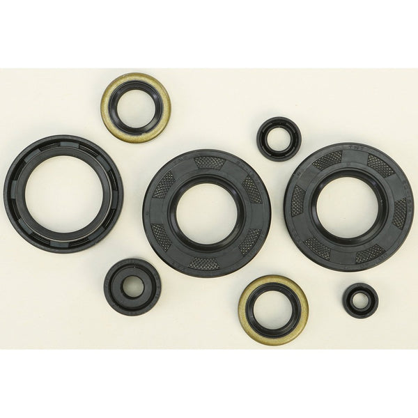 Oil Seal Set