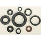 Oil Seal Set