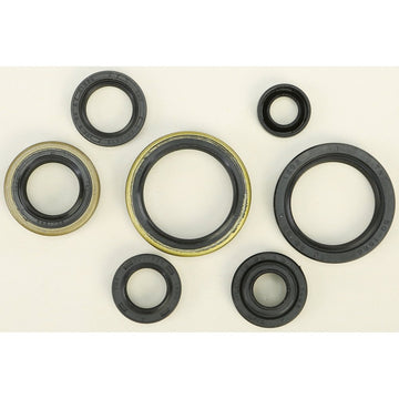 Oil Seal Set